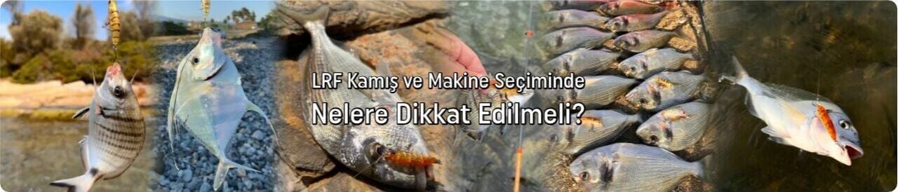 Lrf Takımı Nasıl Olmalı? Nelere Dikkat Etmeliyiz?