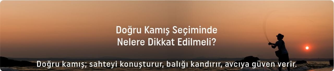 En İyi Spin Kamışı Tavsiyeleri