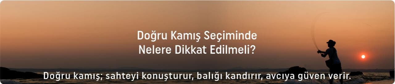 En İyi Spin Kamışı Tavsiyeleri