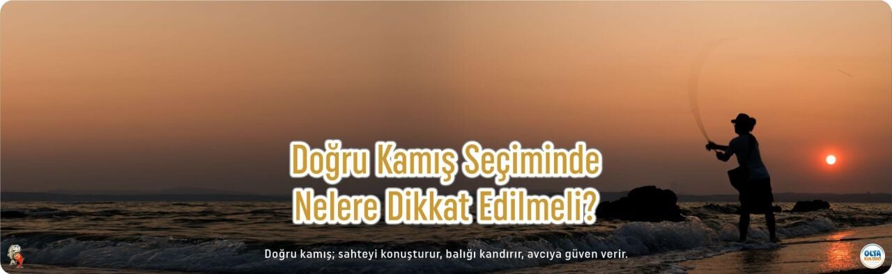 En İyi Spin Kamışı Tavsiyeleri